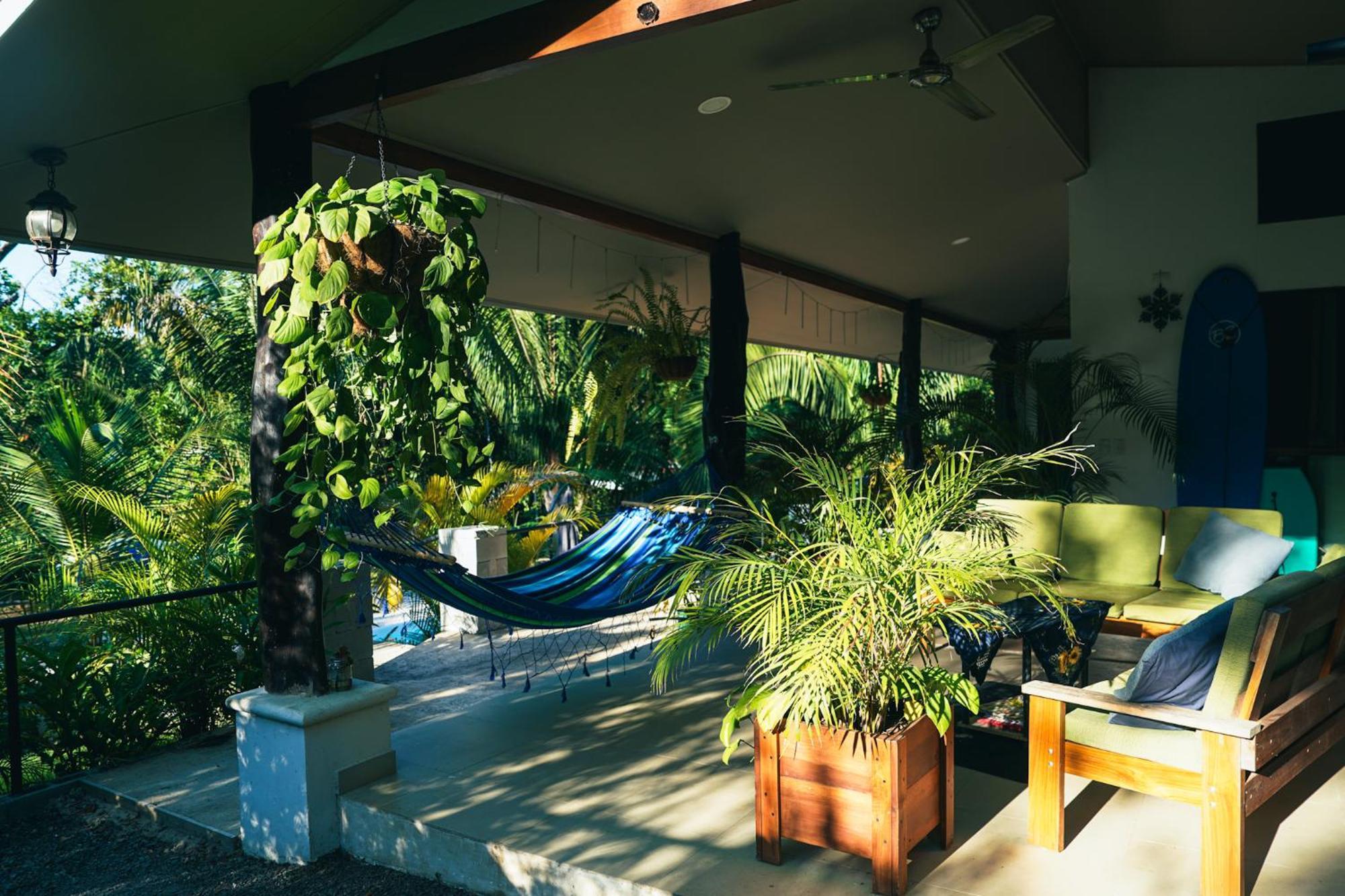 House In The Palm Forest Puerto Carrillo Exteriér fotografie