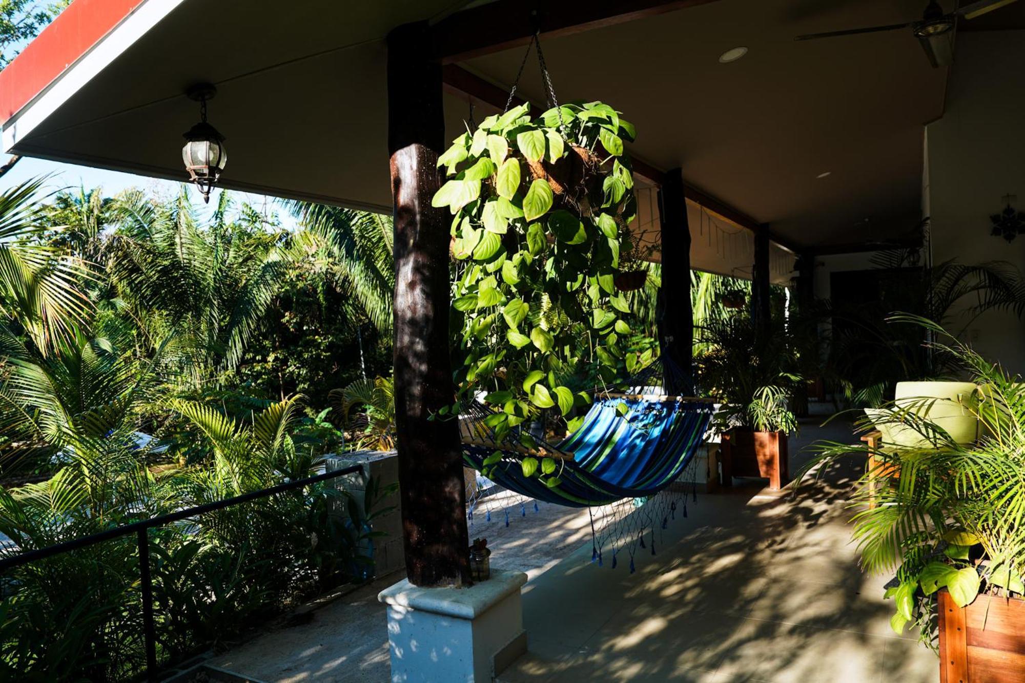 House In The Palm Forest Puerto Carrillo Exteriér fotografie