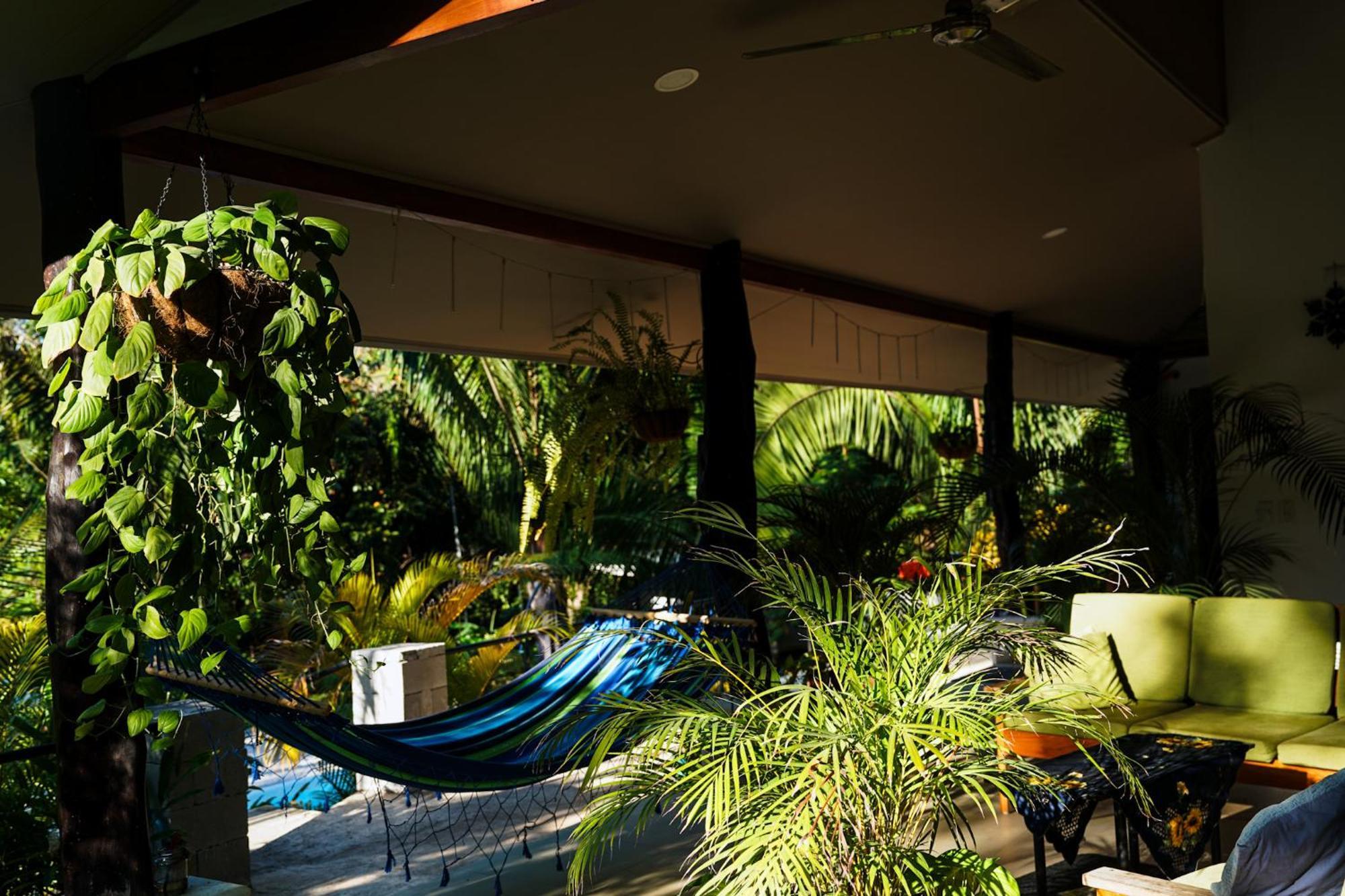 House In The Palm Forest Puerto Carrillo Exteriér fotografie