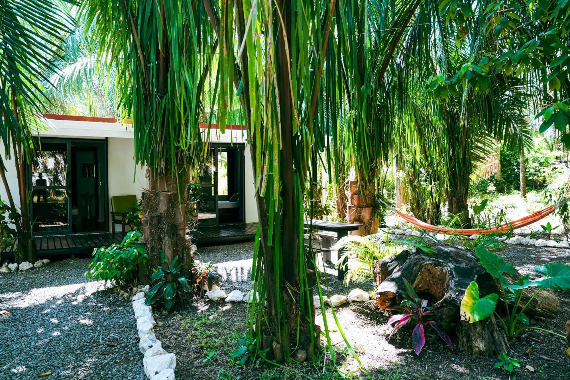House In The Palm Forest Puerto Carrillo Exteriér fotografie