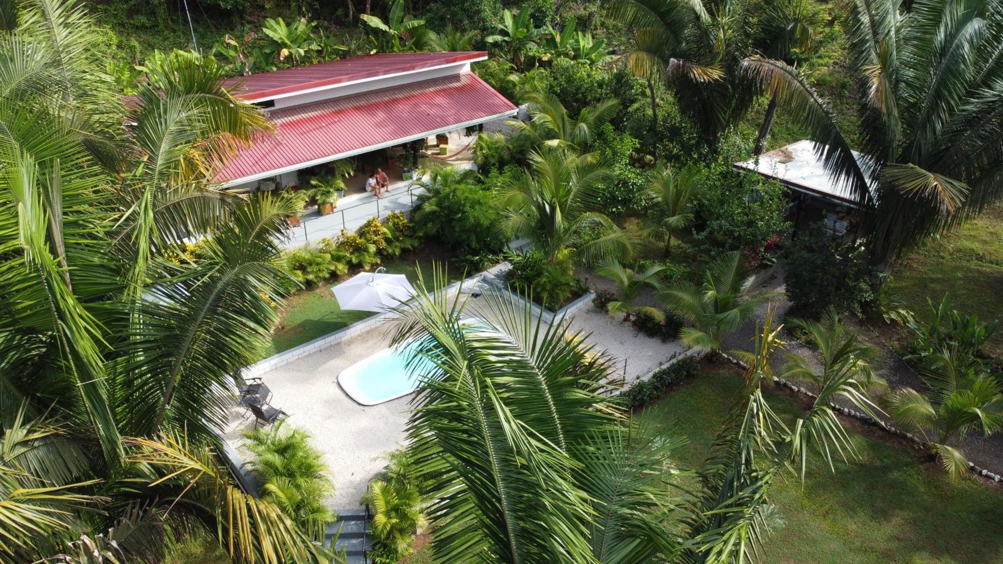 House In The Palm Forest Puerto Carrillo Exteriér fotografie